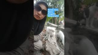 #kucingkucinglucu #shortsvideo #viral