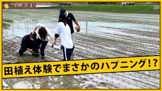 【やってみた】ココイチ社員が田植え体験！？まさかの展開に…【後編】（※現在、運営を終了しています）