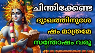 ചിന്തിക്കേണ്ട, ദുഃഖത്തിനുശേഷം മാത്രമേ സന്തോഷം വരൂ | Gita Upadesham | bhagavad githa by Krishna