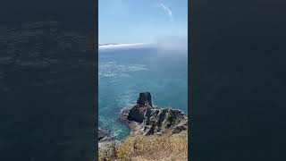 Favorite hike! #Oregon #oregonhikes
