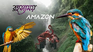 amazon rainforest and birds animal.