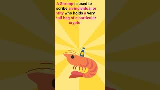 What is a Shrimp?