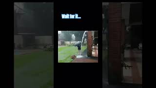 Wait for it…🌩️ #lightning #lightningstrike #storm #rain #sleepaid #deepsleep #thunderstorm #sleep