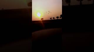 Full screen kyon na hum tum whatsapp status #nature #shorts