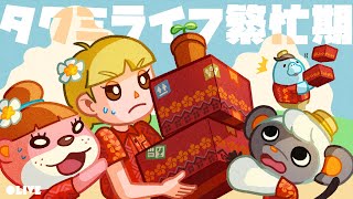 🔥ハピパラ1件30分チャレンジ🔥【あつ森ハッピーホームパラダイス】