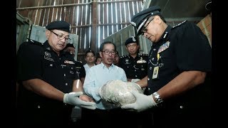 Local pangolin smuggling syndicate busted