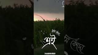 Shesh kanna song (lyrics). শেষ কান্না।#sheshkanna#song#