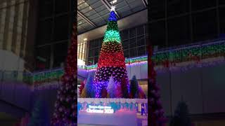 JRゲートタワーのクリスマスツリーを撮影した@2020