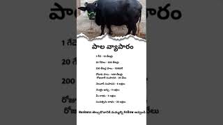 Milk buisness ideas||Telugu buisness ideas