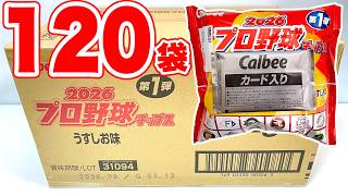 2026 プロ野球チップス 第１弾 『5BOX 開封』 Japanese Baseball card カード カルビー Calbee 食玩 Japanese candy toys