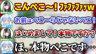ついに本物のぺこらの前でモノマネするらでん【ホロライブ切り抜き/兎田ぺこら/儒烏風亭らでん】
