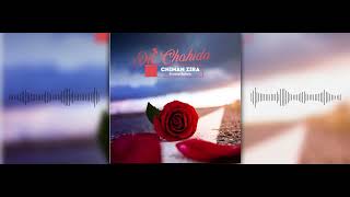 Dil Chahida (Slowed Reverb) : Chiman Zira | New Punjabi Song 2023 | Latest Punjabi Songs 2023