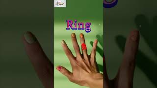 |The Secret Lives of Your Fingers and Toes||English me toe name|#limbs name#spokenenglishpractice