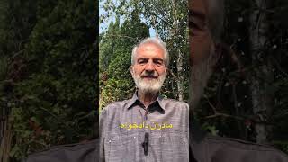 مادران دادخواه