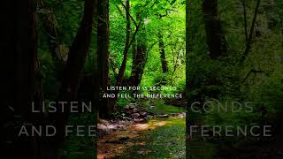 #nature #relax #birdsong #calmnature #peace #naturalsoundscape #relaxingsounds