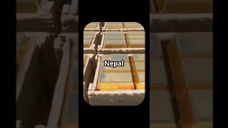 Nepal Gold Smuggling #youtube #shorts #viral #nepal #gold #goldsmuggling