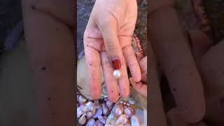 Beautiful one !! #nice #pearl #fyp #You Must Know #viral story #Wonderbot