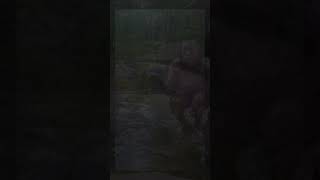 5 minute Water meditation (Low Light Screen) Reset, Recharge, and Realign ✨️