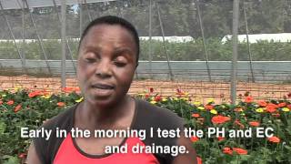 Agribusiness incubation in South Africa (Long)
