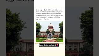 finally We got justice for dogs..#trending #motivation #shorts #viral #viralvideo #usa #india #new