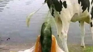রক্ত গরম সোলগান #PLANB