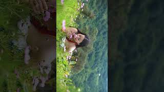 カパモジイの美しさ