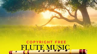 Soothing Flute & Nature Sounds | Free Background Music || No Copyright