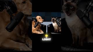 AI Cat and dog Podcast (Part-1) #ai #aivideo #shorts
