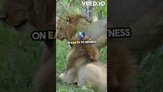 #wildlife #wildlifeindia #travel