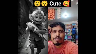 Poor baby Monkey#baby monkey#trending