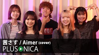 茜さす / Aimer (cover)