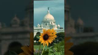 Bangla Status / Yt Shorts / Status video 🥰🥰