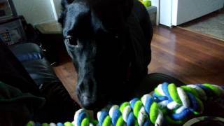 Tug-O-War rope