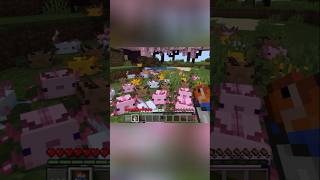 #axolotl #minecraft #minecraftmemes #minecraftshorts #minecraftpe #fun #funny #chill