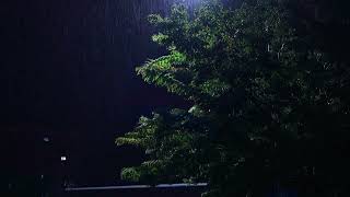 Rain Falling Through Tree Leaves at Night – Relaxing White Noise for Deep Sleep