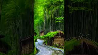 asmr the sound of rain is good for sleeping #shortvideo #rain #rainoundforsleep #nature #relax