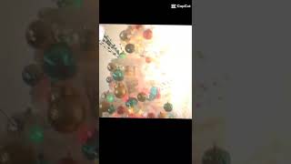 Poniendo el árbol de Navidad 🎄😍
