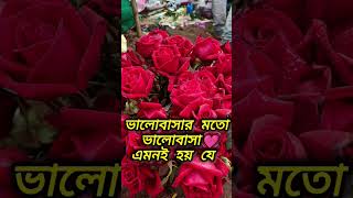#newlovestatus #music #love #lovestatus #couplecomedy #valobasar_kobita