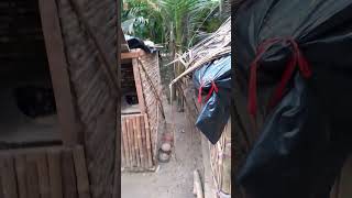 বাংলার লোকশিল্প 🏕️ #shorts #লোকশিল্প #লোকসংস্কৃতি #গ্রাম #traditionalart #desiart #গ্রামবাংলা