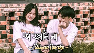 Ta Jani na Lofi |  তা জানি না | (Slowed+Reverb) Lofi Song | Bangla Song 2023