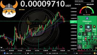 FLOKI | Live Stream 24/7 | FLOKI USDT | Crypto Signals Chart