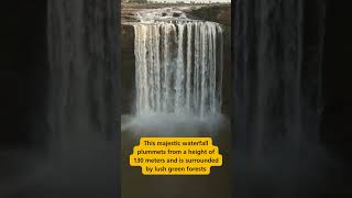 Breathtaking Chachai Waterfall in Madhya Pradesh