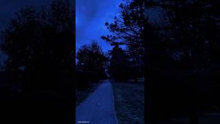 #CalmSounds #NatureSounds Meditation & Mindfulness and relaxing - Anxiety & Stress Relief🌲