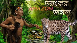 amazon forest animal videos,forest animal rescue videos,wild animals videos