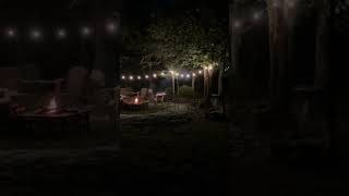 #bonfirevibes #bonfire