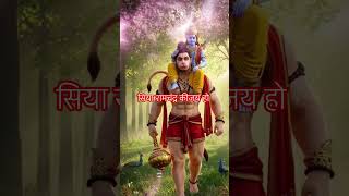 #siyaram #livebhajan #hanumanbhajans #anjanimatamandirlivedarshansalasar
