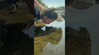 EASY couples Photoshoot idea! #tutorial #photoideas #photoshootlocation