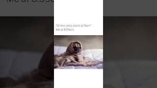 #memes #subscribemychannel