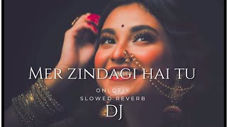 Meri zindagi hai tu. Dj lofi song slowed and reverb
