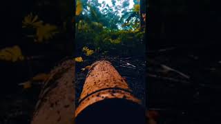 #Shorts Cinematic #shorts #cinematic